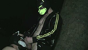 Gay blowjob in berlin tiergarten public cruising