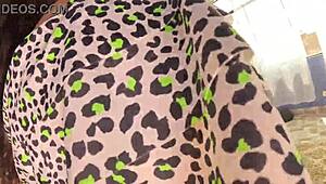 Giving Daniel my first anal on the couch for his hard work, we fucked and I couldn't help screaming his name while he gave me that painful anal creampie from his thick berga.