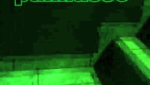 Pay for sex, ignore my screams, don't pull out.