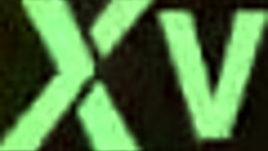 Taiwanese beauty gets down and dirty fast