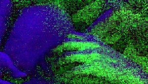 Does this Latina milf ride big cocks in the dark?