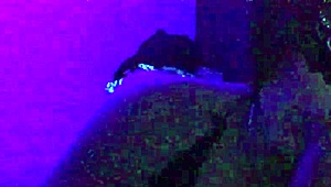 Does this Latina milf ride big cocks in the dark?