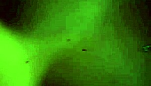 hey, check out alex's laguna bend sex scene in cyberpunk 2077 with ultra settings