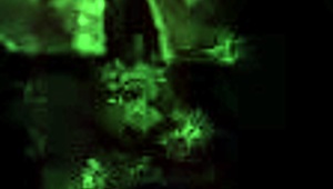 Vintage Erotic Drawings