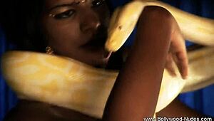 a desirable indian brunette girl in solo