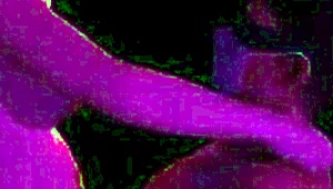 She undresses in VR, ripping clothes for big tits and ass fuck in thicc edition.