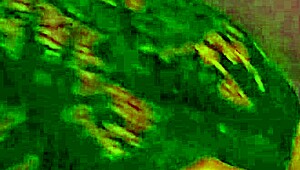 Angelg and kuzz explore interracial halloween fun with monster cocks