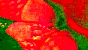 Angelg and kuzz explore interracial halloween fun with monster cocks