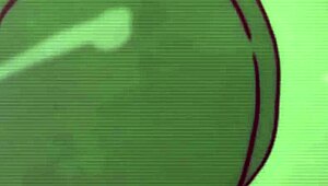 i can’t get enough of kim possible and shego in futa action!