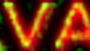 bruna silva feels humiliation during muff diving and fucking.