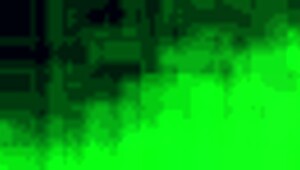 Did you see that retro gay action in the blue films?