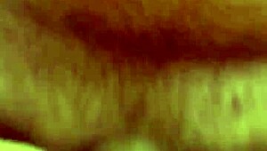 Alineflavio - update 151 - 1 5118348591483585872 - sep 11 2024