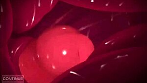 zonk punch cummies cream pies and pulsating cocks compilation