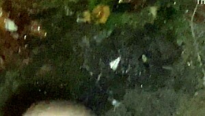 cracky and the tv show with mature stars