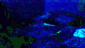 French Whore Moans Publicly