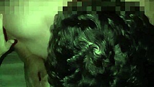 i love night sex with my husband on top