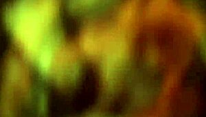 Vacker exotisk indisk babe retas med sönderrivna kläder och visar naken kropp