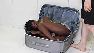 Ass fetish anal ebony gets rough assfucking and blowjob.