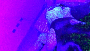 Compilation Of Redfantasies Shorts Freebie!