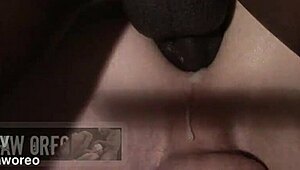 Zafiro And Aidan Preview Gay Interracial Encounter