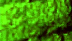 citor3 femdomination 3d vr game finale cowgirl anal futa on male