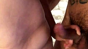 tipper encantado con mi mujer me complace sin saber