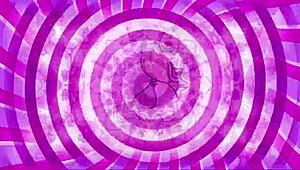 curious sissy explores femdom cock worship with instructions