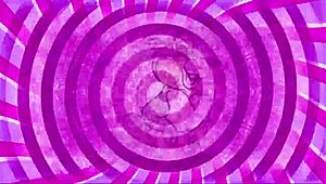 curious sissy explores femdom cock worship with instructions