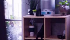 Why does my slutty stepsister never say no? Natalie Brooks caught in voyeur roleplay.