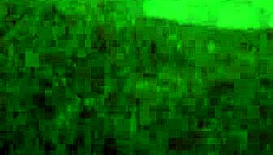 Thắm trương vi�t nam tự quay