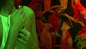 뜨거운 갈색 머리녀 자위 오르가즘 지르며 여친이 가까이서 지켜봄