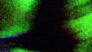 Hey, ever seen Sashaa Legend suck like that? She’s unreal!