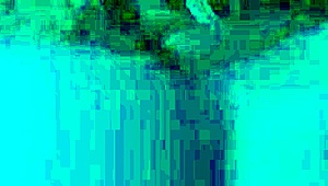 This collection of naughty fun with my big-dicked husband includes oral and sex! 😏