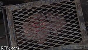 Lusty Facial Castigation For Angel