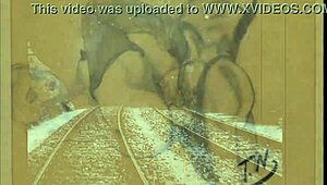 Vintage erotic drawings collection