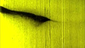 Vintage erotic drawings collection