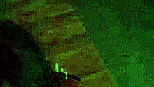 my tattooed girlfriend sandraxo1 gives bound blowjob