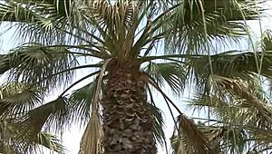 Secretary stripped naked at work—can you believe what she did in the office?