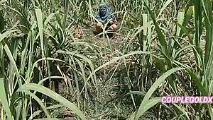 कोमल खेत में मूत रही थी कि मालिक ने चुपके से आकर बैठ कर घर ले गए