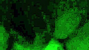 Dalam cerita ini, pelacur itu gembira ambil kote itu