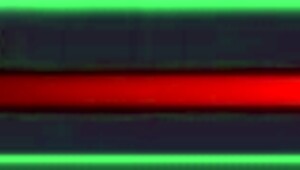 City Of Secret Pt 3: Horny Slut Exposes Herself To Class While Defeating Boss 😈