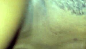 amateur satin sheetz gives blowjob snippet