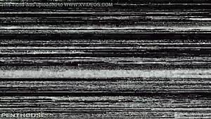 Penthouse Pet Kortney Kane and Ash Hollywood Dive into Sexy Lesbian Licking