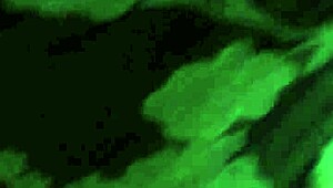 thai hooker gets bareback action with a creampie finish in raw encounter