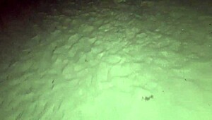 fanny shows ass without panties in public street exposure!