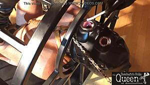 wow, queen frida cage rules with bdsm fetish in chastity cage! 😈