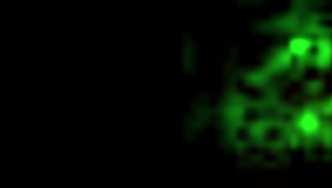 two centuries of lesbian history in vintage style with hairy details