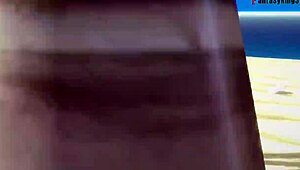 原神雷电将军王国预告片完整独家视频