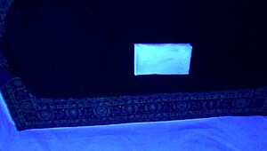 Gigi Breeze's blacklight massage is top 1! 😍
