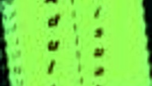 shaved pussy babe takes on monster cock in wild cowgirl riding leap.